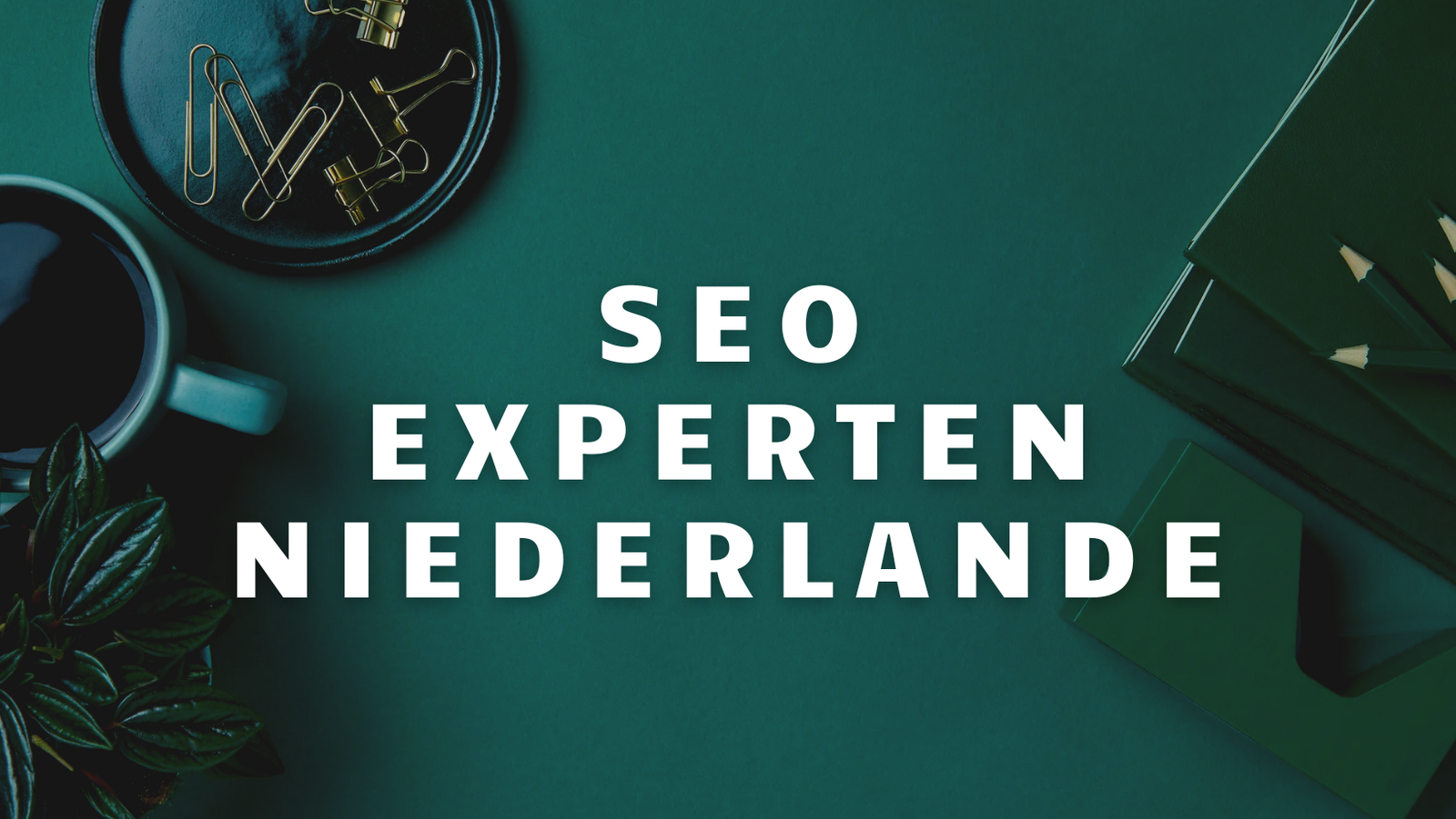 SEO Experten Niederlande